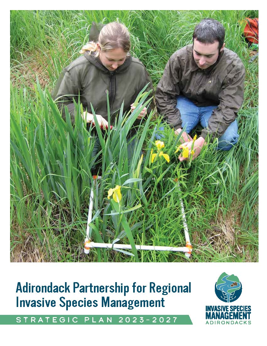 The Adirondack Partnership for Regional Invasive Species Management Strategic Plan 2023-2027